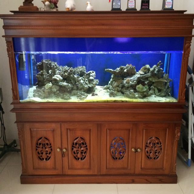Aquarium Ikan Air Laut Air Tawar Besar Kayu Jati Home Furniture