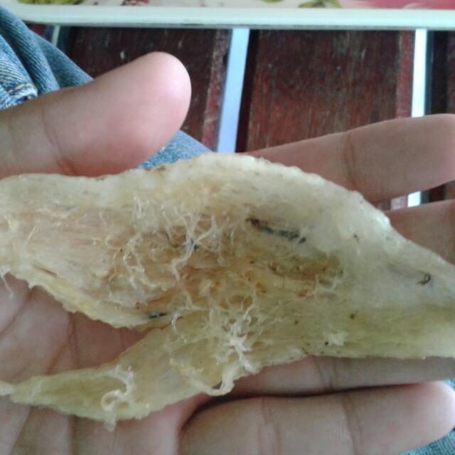 Sarang Burung Walik Everything Else Others On Carousell