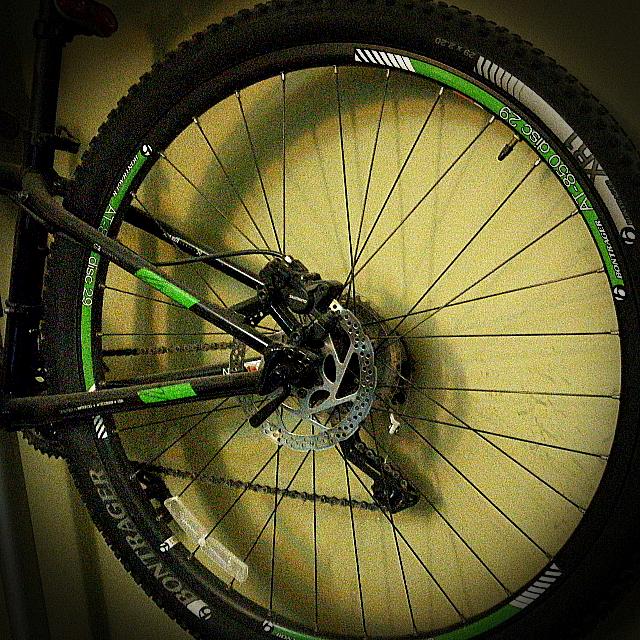 Trek x caliber 2025 wsd