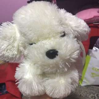 Puppy Soft Toy