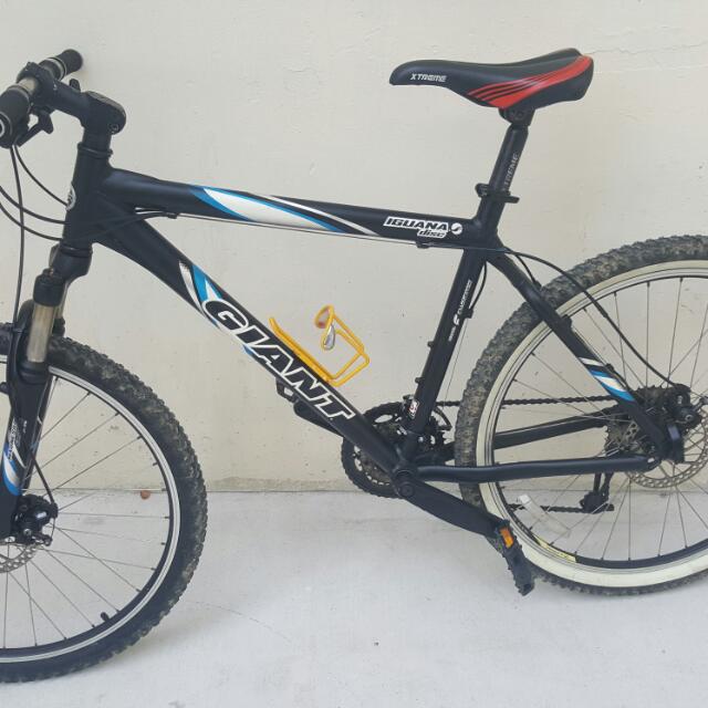 2004 giant iguana best sale