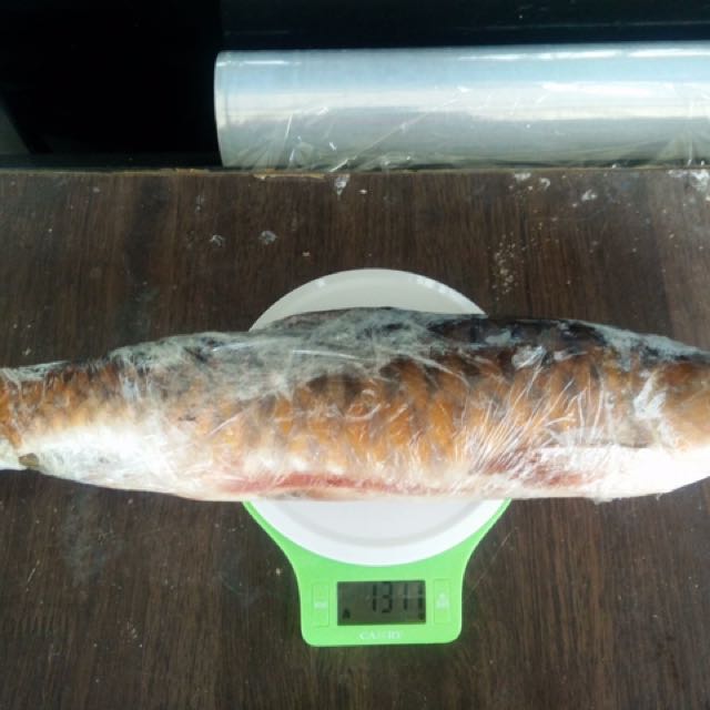 Ikan Kelah Merah Everything Else Others On Carousell