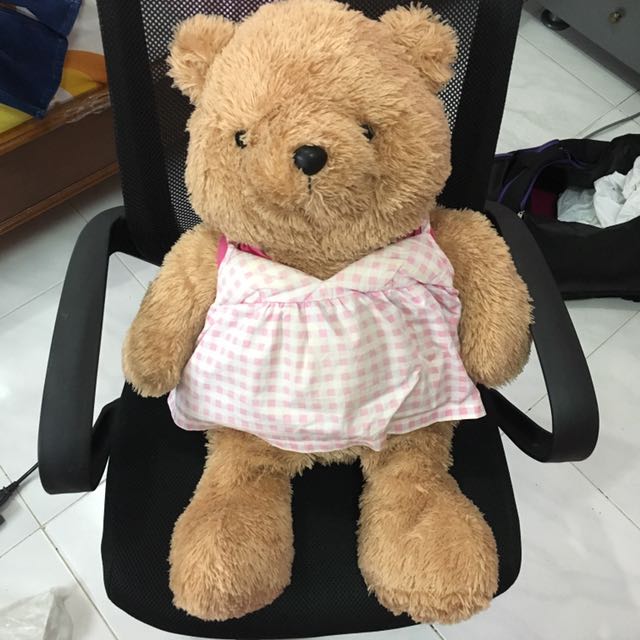 teddy house size