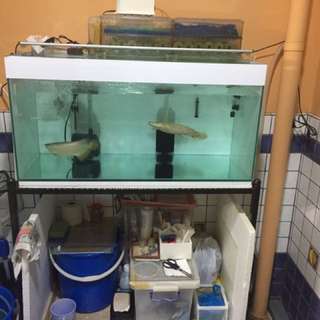 10" Short Body Crossback For Sale