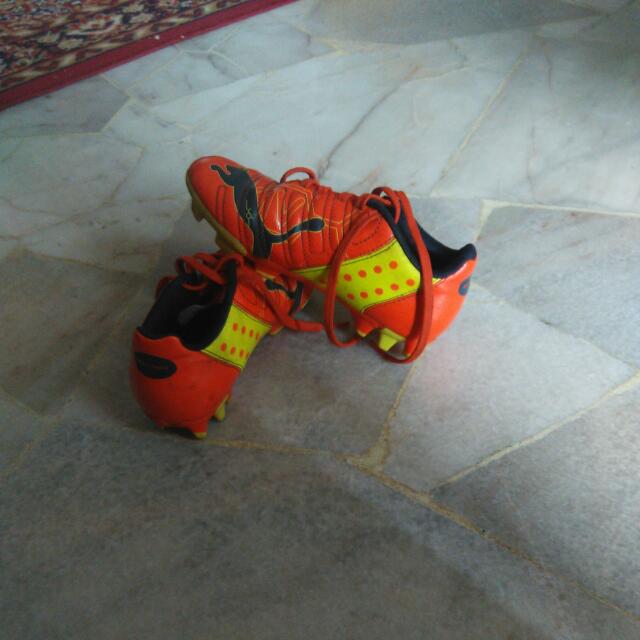 puma but