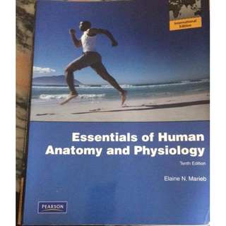 Essentials of Human Anatomy and Physiology