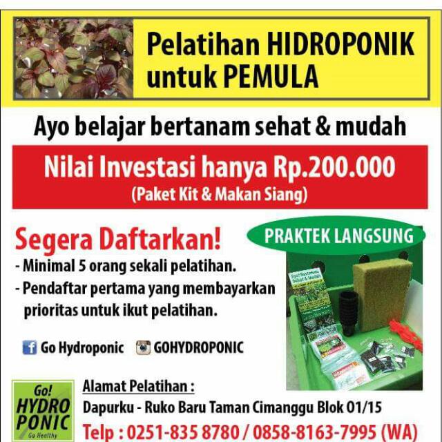 Paket Pemula Hidroponik Gardening On Carousell