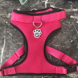 Dog harness Canada Pooch