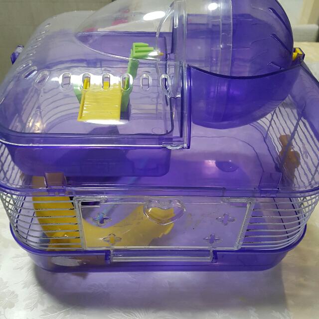 Photo inspiration: Fresh Look at Hamster Complete Accessories Cage Pet Supplies Homes Other Pet