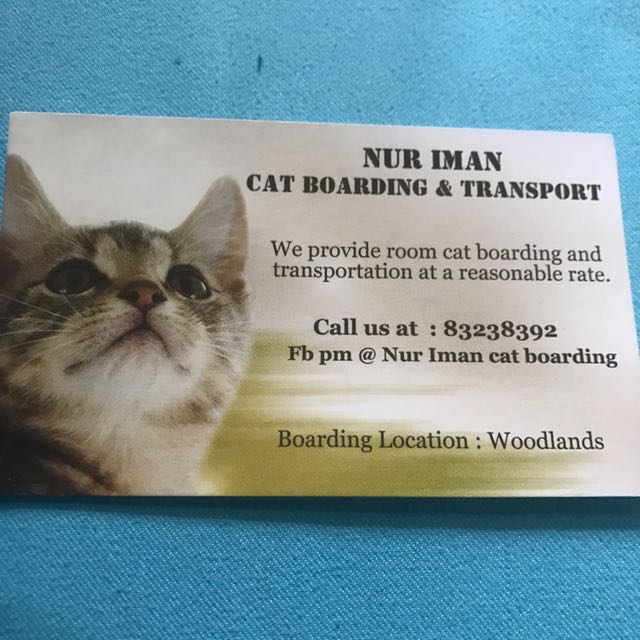Nur iman cat boarding 2025