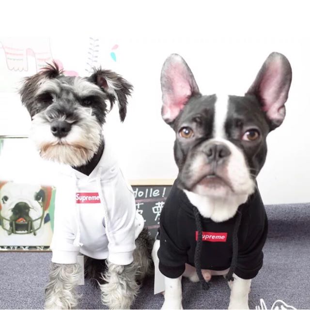 dog supreme hoodie