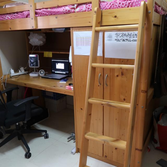 Free Seahorse Single Loft Bed With Study Desk And Closet
