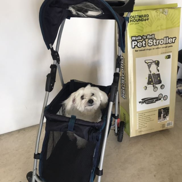 outward hound pet stroller