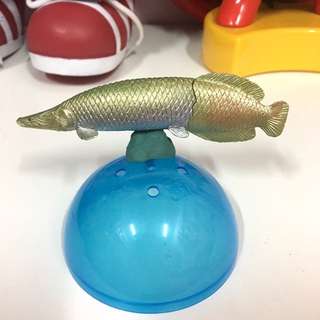 T-ARTS最大生物亞馬遜 最大淡水魚 象魚扭蛋