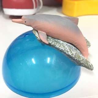 T-ARTS最大生物亞馬遜 粉色海豚扭蛋