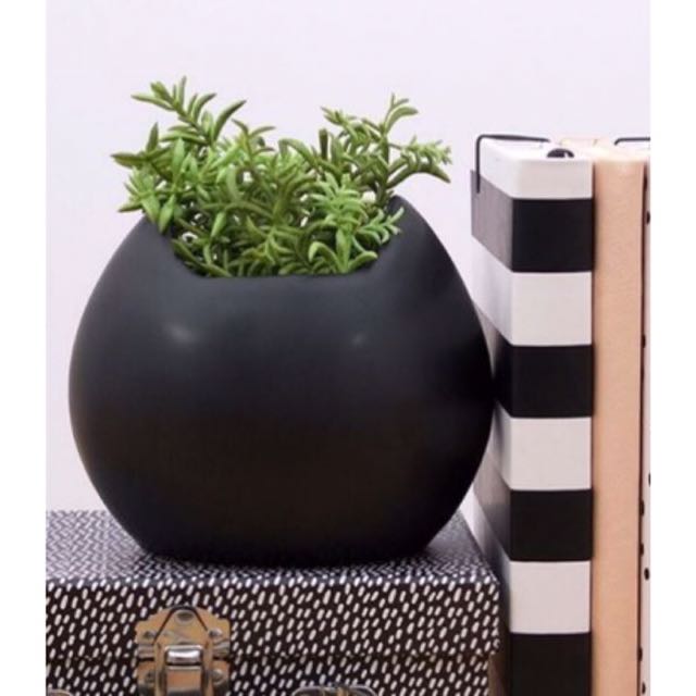Bn Black Cat Shaped Planter Pot Terrarium Gardening On Carousell