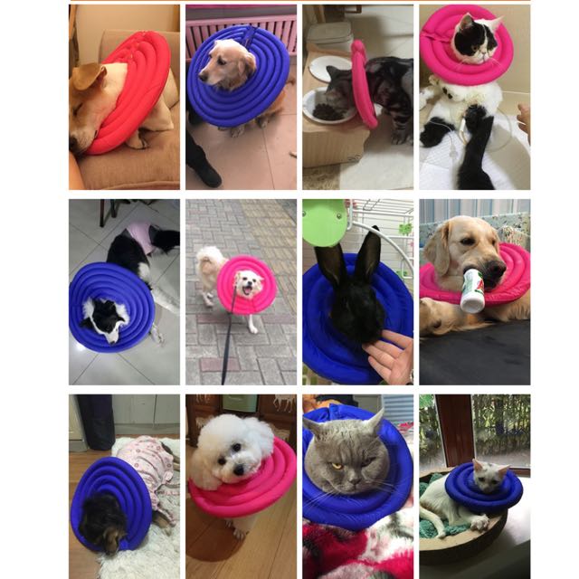 Cushion e collar clearance