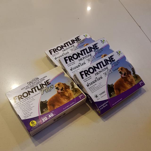 Frontline Plus For 20-40kg Dogs. Brand New. For Golden ...