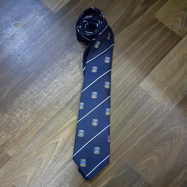 Tie - Goldlion , Men's Fashion, Tops & Sets, Formal Shirts on Carousell
