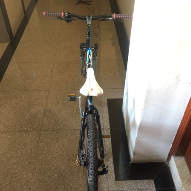 giant iguana disc 2008