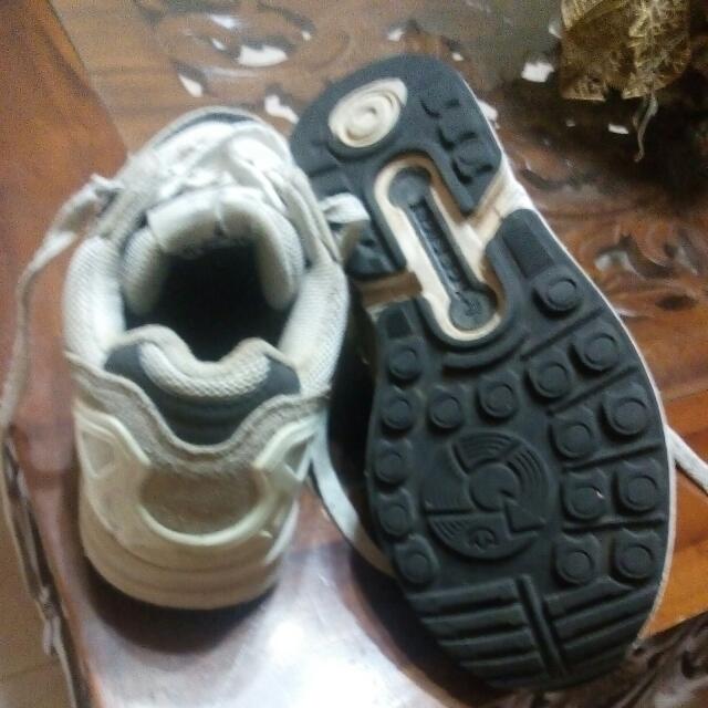 zx 8000 2017
