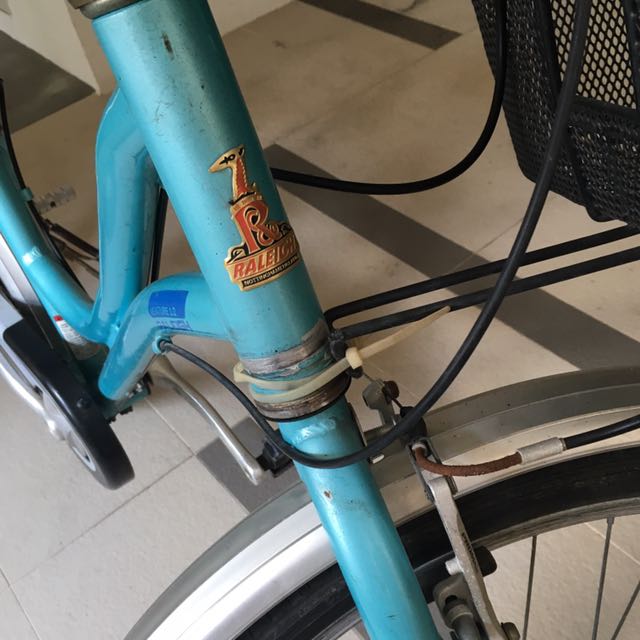 Raleigh Venture 1.0 Ladies Bike