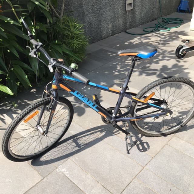 boys giant bike