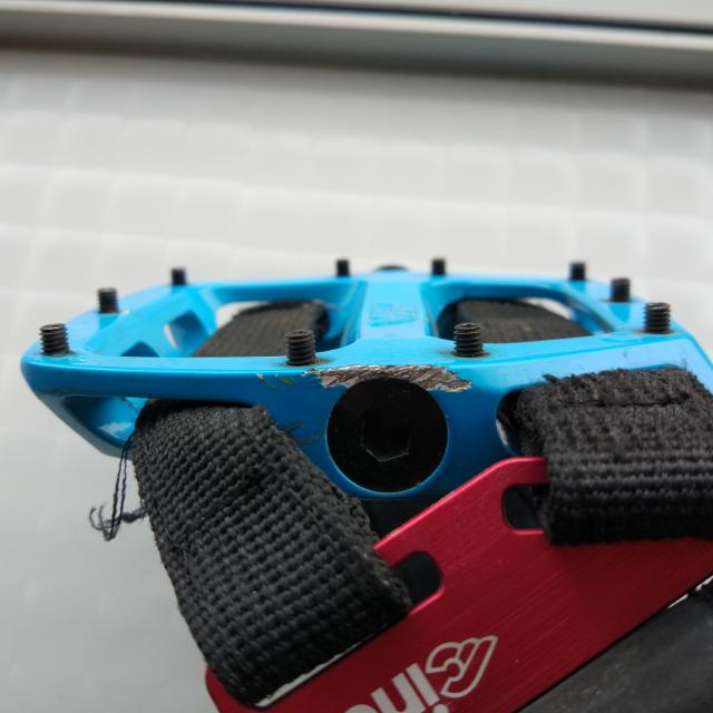dmr v12 blue