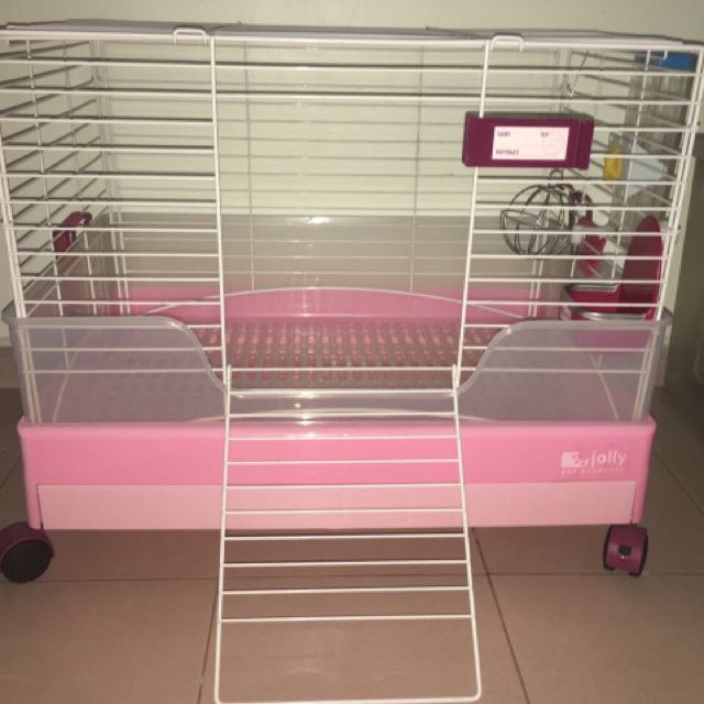 Jolly rabbit cage discount