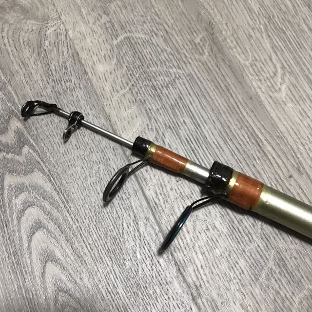 Daiwa Telescopic Fishing Rod 2.7mtr, Sports Equipment, Fishing on Carousell
