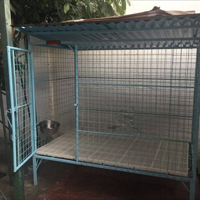 cage size for belgian malinois