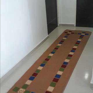 Carpet Runner (Pre Loved)