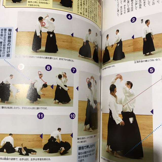 Japanese Aikido Book With DVD, Hobbies & Toys, Books & Magazines