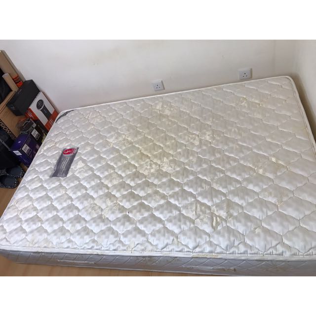 Seahorse Double Bed Mattress 4 X 6 Home Furniture Home