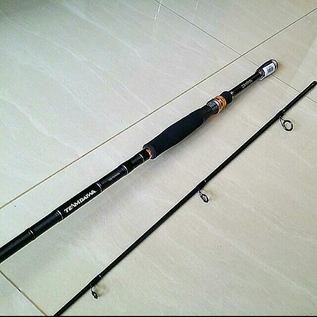 Team daiwa spinning rod clearance