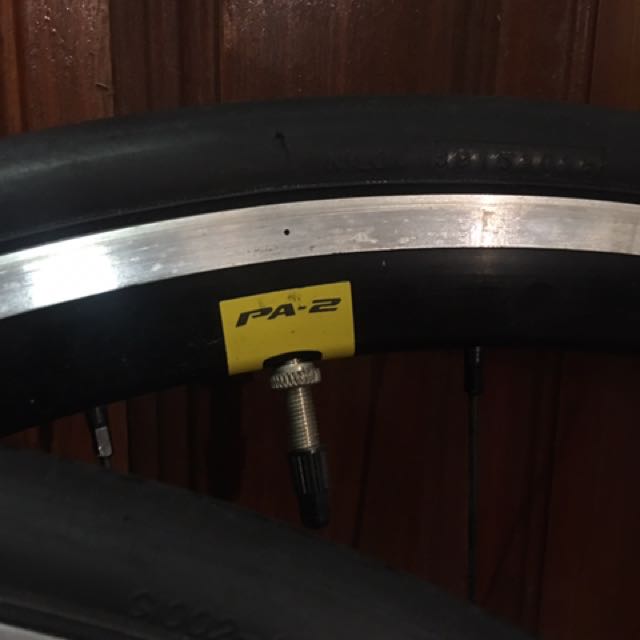giant pa2 disc