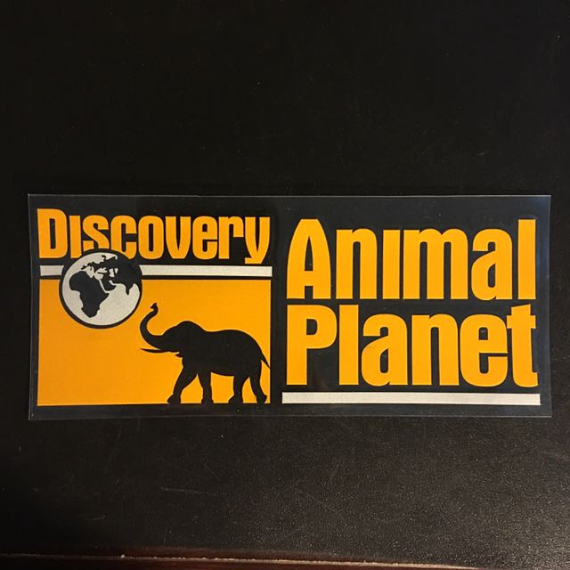 Discover animal. Энимал Дискавери. Анонсы animal Planet. Дискавери ченел Анимал планет. Энимал планет логотип.