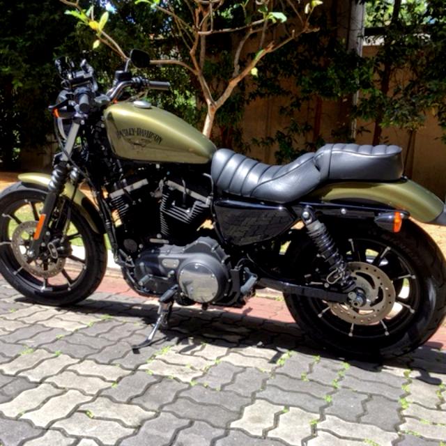 harley iron 883 for sale