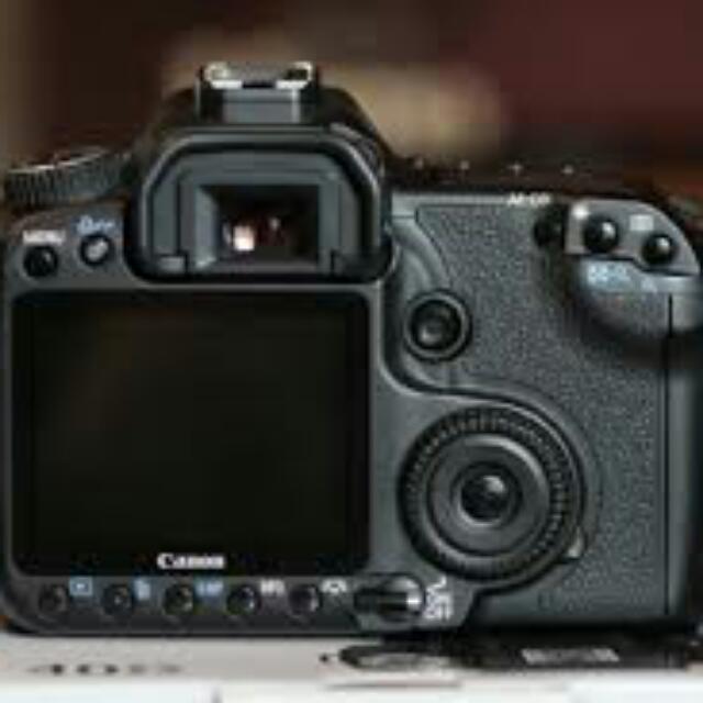 canon 40d semi pro body only