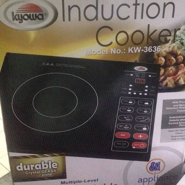 Kyowa induction store cooker review