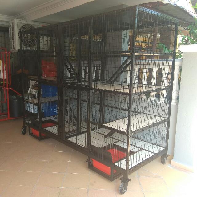Sangkar Kucing Custom Made Pet Supplies Aksesori Haiwan Sangkar Kucing Custom Made Pet Supplies Aksesori Haiwan