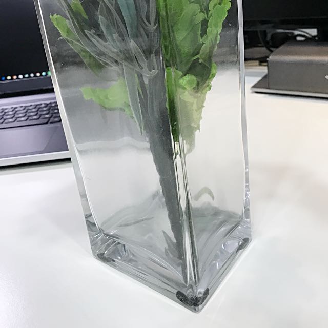 Ikea Rektangel Glass Flower Vase Furniture Home Decor On Carousell