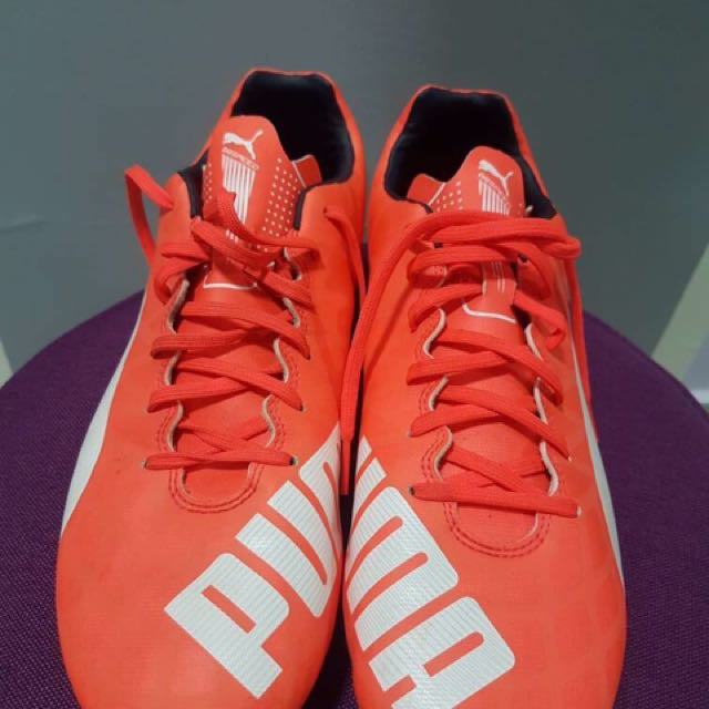 Puma hot sale evospeed clothing
