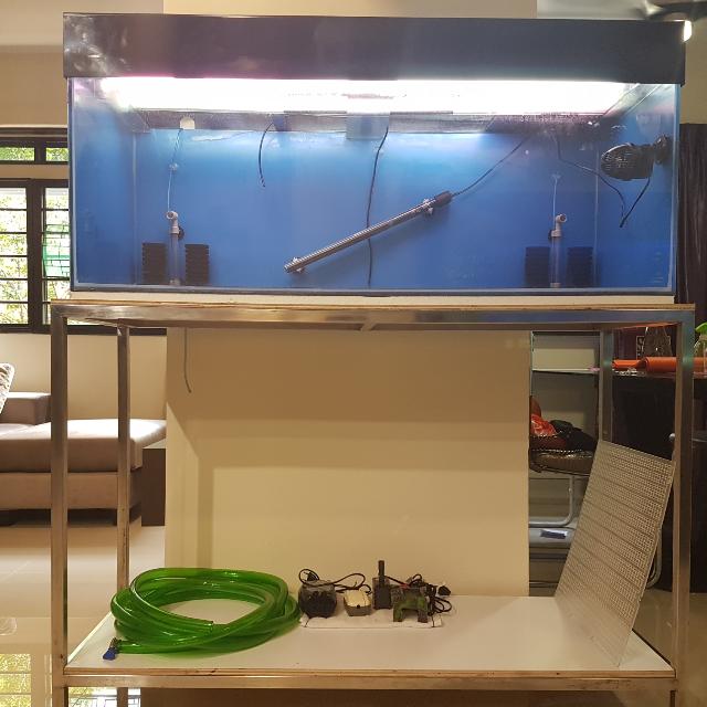 4feet Fish Tank With Stainless Steel Stand Cover On Carousell