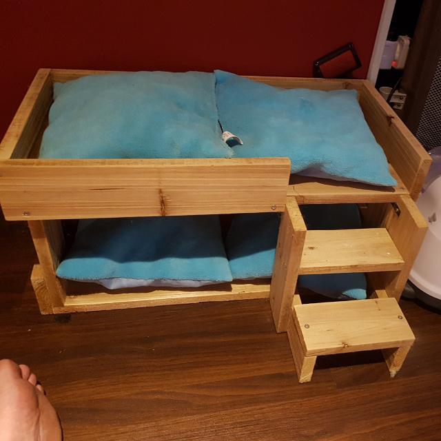 double decker dog bed
