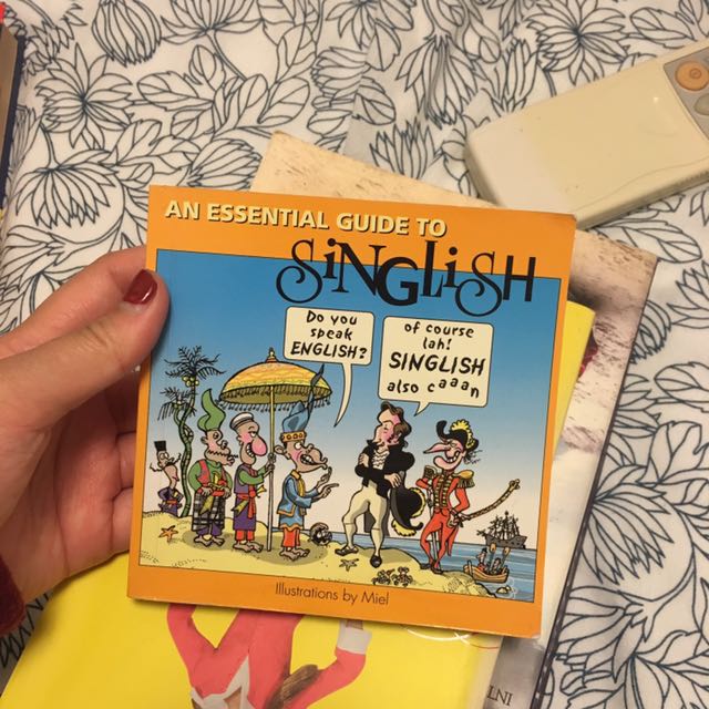 an essential guide to singlish