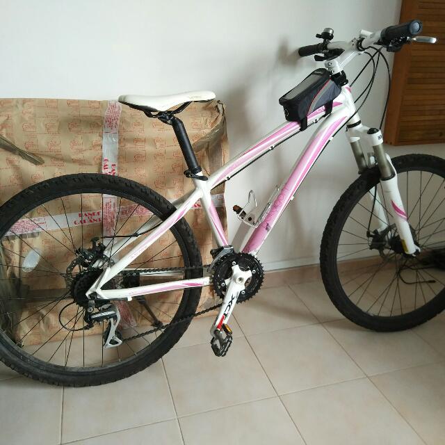 polygon lady bike