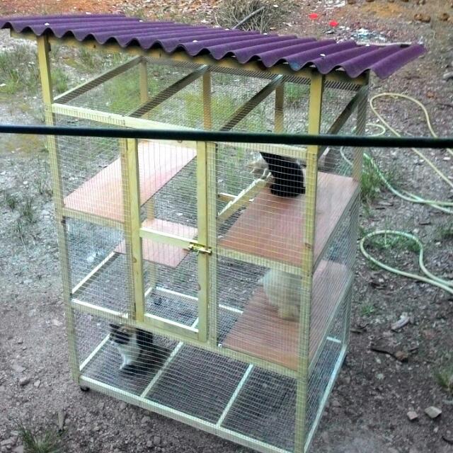 Sangkar Kucing Diy Pvc Diy Sangkar Kucing Guna Pvc Model kandang kucing yang cocok