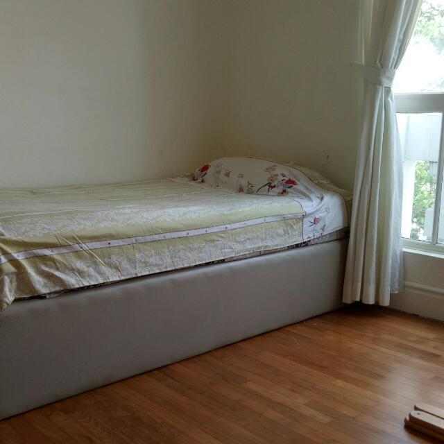 King Koil Super Size Single With Trundle Bed, Furniture & Home Living