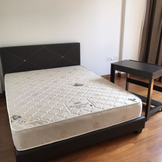 Selling Bedframe Only, Furniture & Home Living, Furniture, Bed Frames